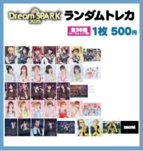 DreamSPARK ランダムトレカ
